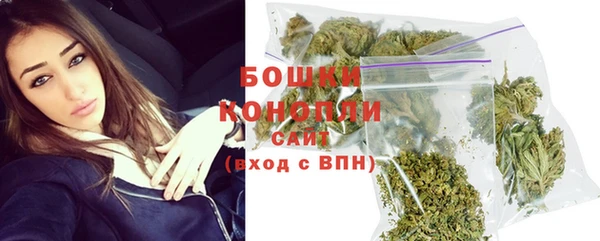гашик Инсар