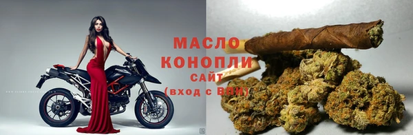 гашик Инсар