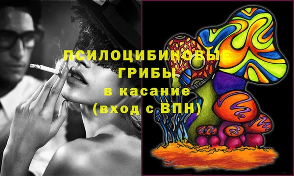каннабис Инта