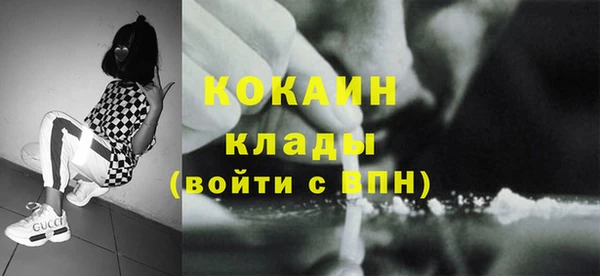 гашик Инсар