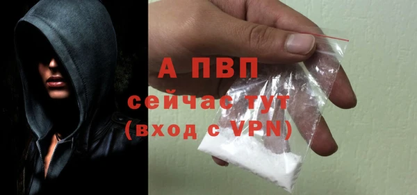 гидропоника Иннополис