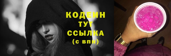 гашик Инсар