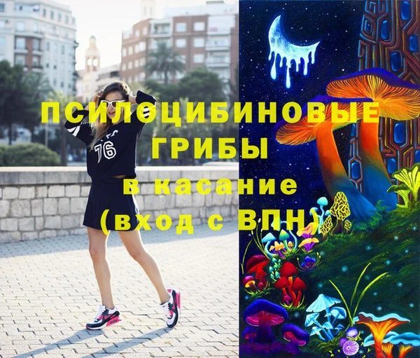 гидропоника Иннополис