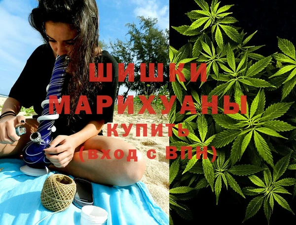 гидропоника Иннополис