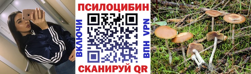 Галлюциногенные грибы Psilocybine cubensis  Купить где  Людиново 